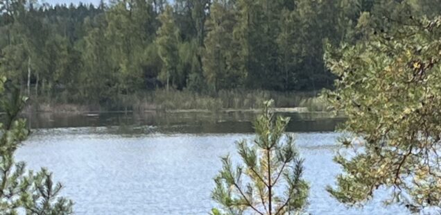 Vandringsretreat på Sörmlandsleden